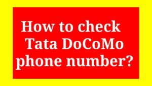 How to check your Tata DoCoMo phone number