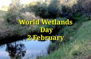 World Wetlands Day