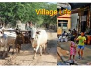 essay On village life