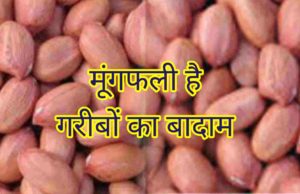 Benefits of Peanuts in Hindi