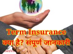 What is term insurance in Hindi