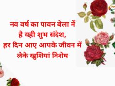 Happy New Year 2024 Shayari in Hindi
