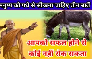 Chanakya Niti learn these 3 things from donkey