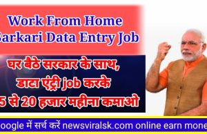 Work From Home Sarkari Data Entry Job
