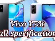 Vivo Y73t feature and specifications