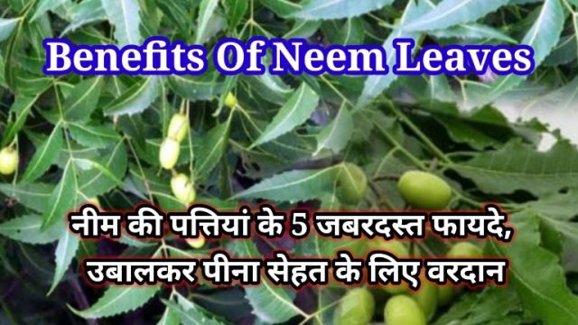 Benefits Of Neem Leaves