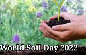 World Soil Day 2022