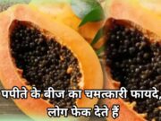Benefits Of Papaya Seed in Hindi