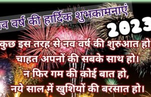 Happy New year wishes in Hindi