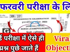 Bihar Board Inter Exam 2023 Hindi Model Viral Questions