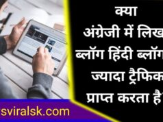 Blog Traffic Hindi or English Language