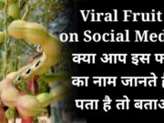 Viral Fruit on Social Media