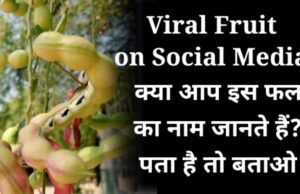 Viral Fruit on Social Media