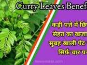 Curry Leaves Benefits in Hindi