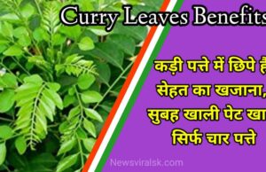 Curry Leaves Benefits in Hindi