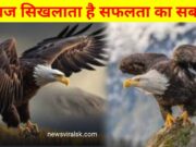 Eagle Attitude & Success Mentality