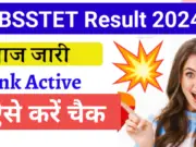 BSSTET Result 2024 Released