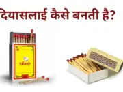 Diyasalay kaise banti Hai || दियासलाई कैसे बनती है?