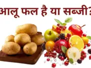 Aalu Phal ya sabji : आलू फल है या सब्जी? Aalu Phal ya sabji