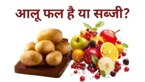 Aalu Phal ya sabji