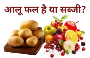 Aalu Phal ya sabji