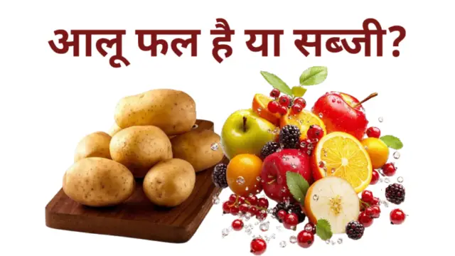 Aalu Phal ya sabji