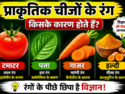 Colors of Nature Explained | रंगों के पीछे छिपा विज्ञान